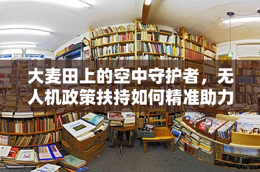 大麦田上的空中守护者，无人机政策扶持如何精准助力农业监测？
