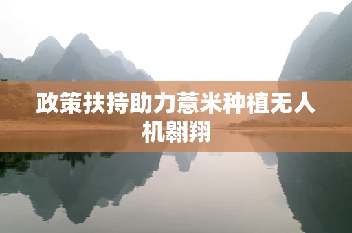 政策扶持助力薏米种植无人机翱翔