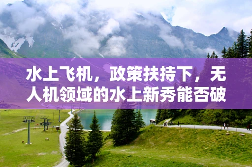 水上飞机，政策扶持下，无人机领域的水上新秀能否破浪前行？
