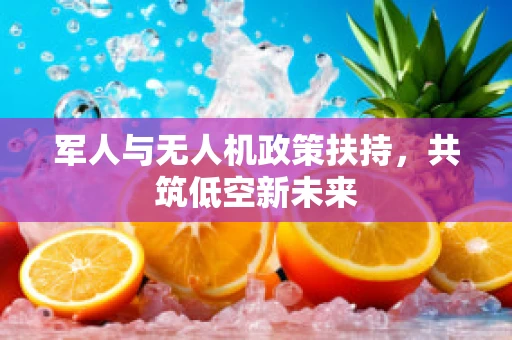 军人与无人机政策扶持，共筑低空新未来