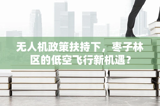 无人机政策扶持下，枣子林区的低空飞行新机遇？