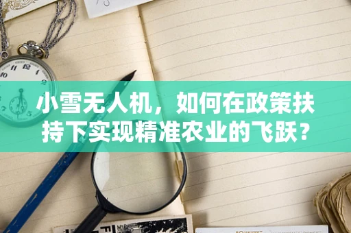 小雪无人机，如何在政策扶持下实现精准农业的飞跃？