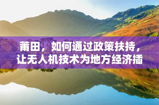 莆田，如何通过政策扶持，让无人机技术为地方经济插上翅膀？