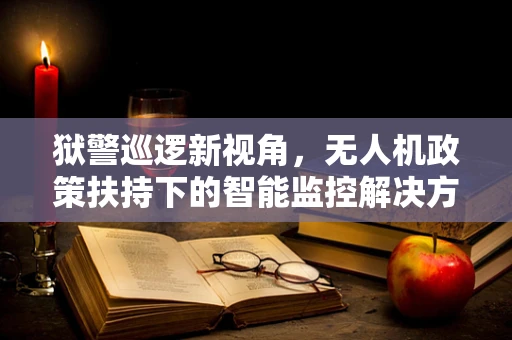 狱警巡逻新视角，无人机政策扶持下的智能监控解决方案？