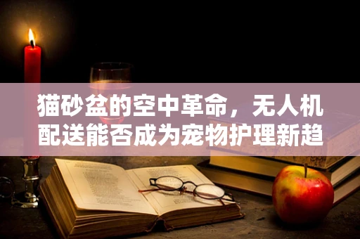 猫砂盆的空中革命，无人机配送能否成为宠物护理新趋势？