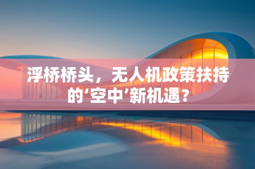 浮桥桥头，无人机政策扶持的‘空中’新机遇？