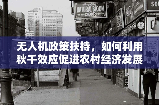 无人机政策扶持，如何利用秋千效应促进农村经济发展？