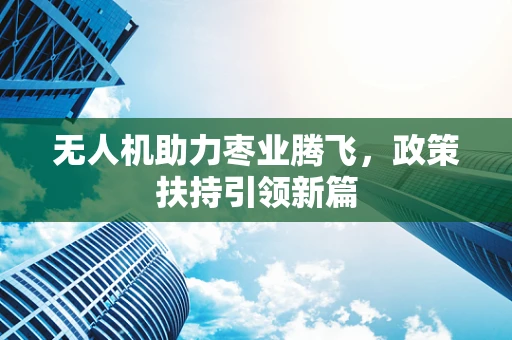 无人机助力枣业腾飞，政策扶持引领新篇