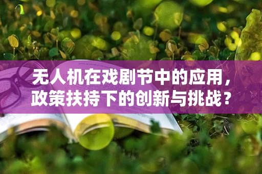 无人机在戏剧节中的应用，政策扶持下的创新与挑战？