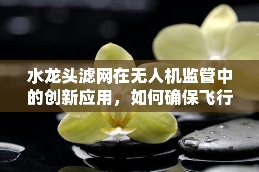 水龙头滤网在无人机监管中的创新应用，如何确保飞行安全与水质清洁的双重保障？