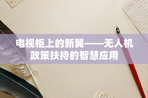 电视柜上的新翼——无人机政策扶持的智慧应用