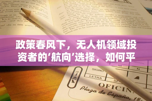 政策春风下，无人机领域投资者的‘航向’选择，如何平衡风险与政策扶持？