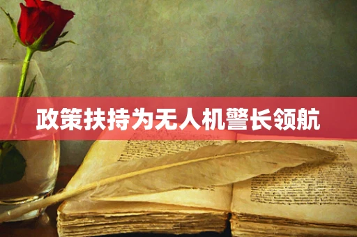 政策扶持为无人机警长领航