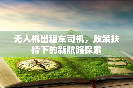 无人机出租车司机，政策扶持下的新航路探索