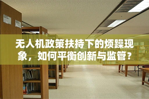 无人机政策扶持下的烦躁现象，如何平衡创新与监管？