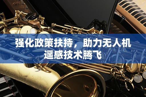 强化政策扶持，助力无人机遥感技术腾飞