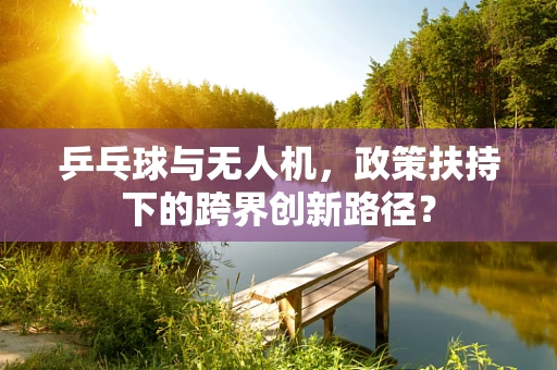 乒乓球与无人机，政策扶持下的跨界创新路径？