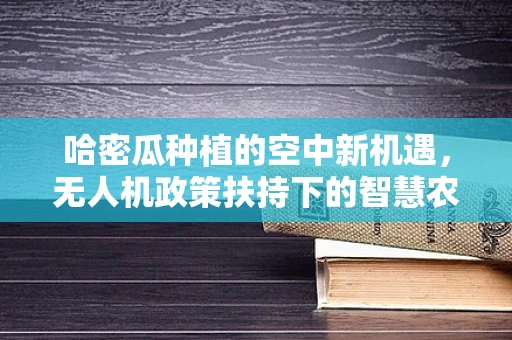 哈密瓜种植的空中新机遇，无人机政策扶持下的智慧农业探索