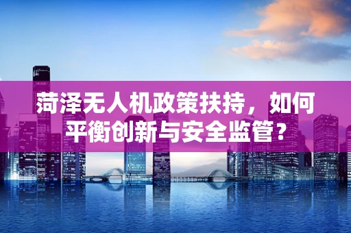 菏泽无人机政策扶持，如何平衡创新与安全监管？