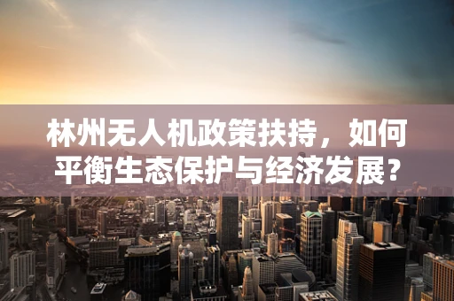 林州无人机政策扶持，如何平衡生态保护与经济发展？