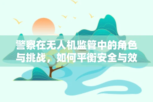 警察在无人机监管中的角色与挑战，如何平衡安全与效率？