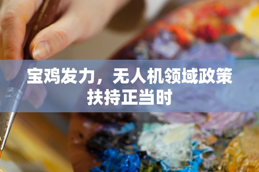 宝鸡发力，无人机领域政策扶持正当时