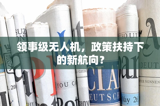 领事级无人机，政策扶持下的新航向？
