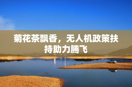 菊花茶飘香，无人机政策扶持助力腾飞