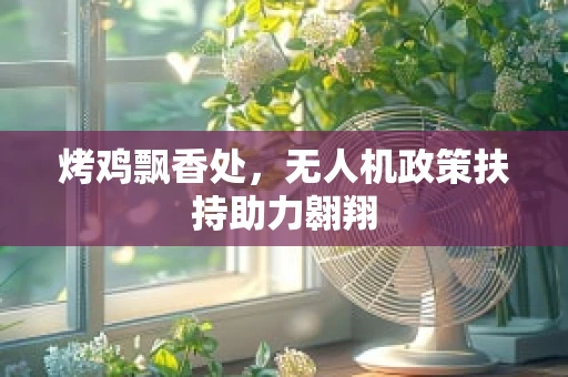 烤鸡飘香处，无人机政策扶持助力翱翔