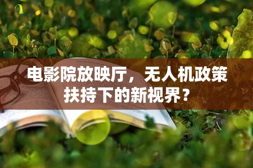 电影院放映厅，无人机政策扶持下的新视界？