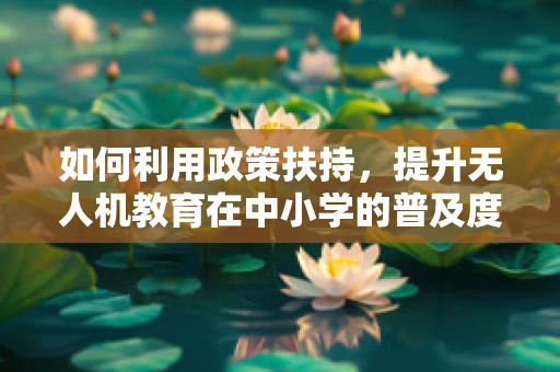 如何利用政策扶持，提升无人机教育在中小学的普及度——教务主任的挑战与机遇