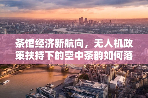 茶馆经济新航向，无人机政策扶持下的空中茶韵如何落地？