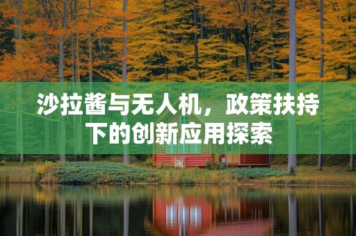 沙拉酱与无人机，政策扶持下的创新应用探索