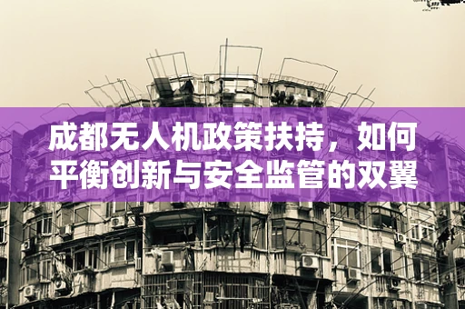 成都无人机政策扶持，如何平衡创新与安全监管的双翼？