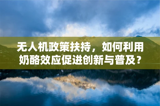 无人机政策扶持，如何利用奶酪效应促进创新与普及？