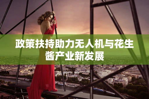 政策扶持助力无人机与花生酱产业新发展