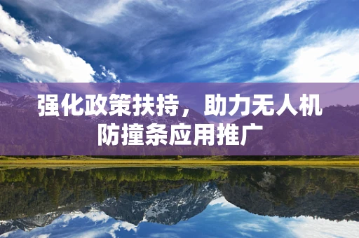 强化政策扶持，助力无人机防撞条应用推广