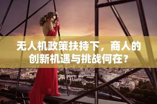 无人机政策扶持下，商人的创新机遇与挑战何在？