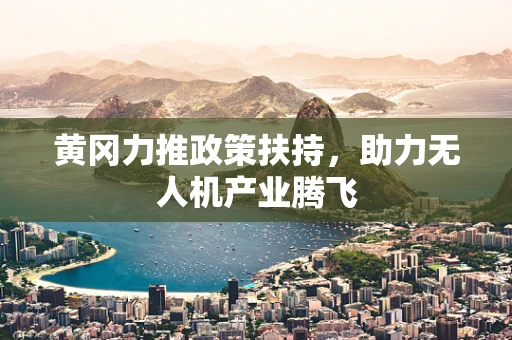 黄冈力推政策扶持，助力无人机产业腾飞