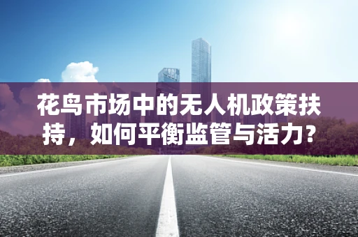 花鸟市场中的无人机政策扶持，如何平衡监管与活力？
