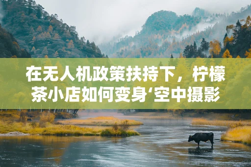 在无人机政策扶持下，柠檬茶小店如何变身‘空中摄影师’？