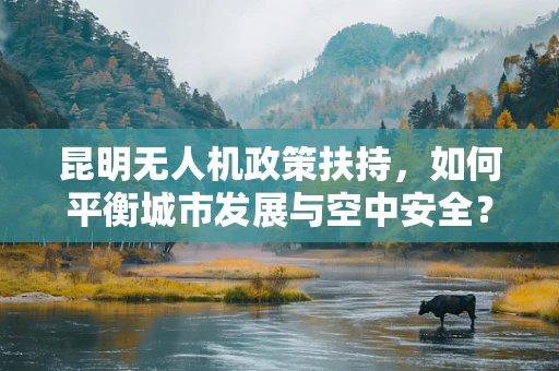 昆明无人机政策扶持，如何平衡城市发展与空中安全？