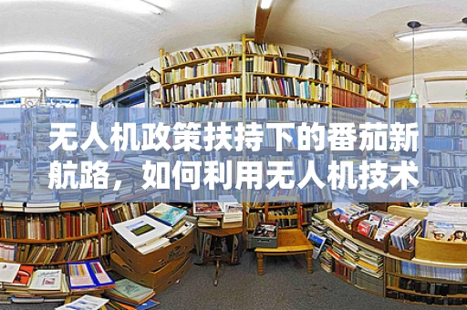 无人机政策扶持下的番茄新航路，如何利用无人机技术促进番茄精准种植？
