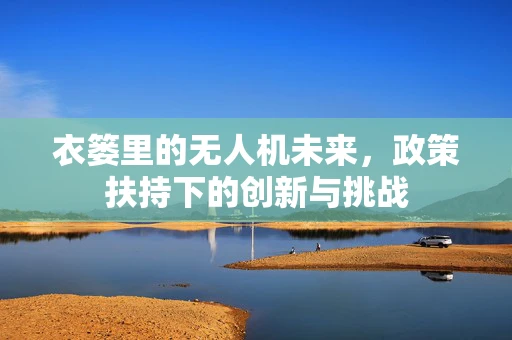 衣篓里的无人机未来，政策扶持下的创新与挑战