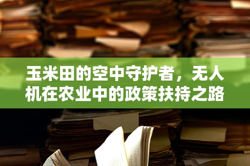 玉米田的空中守护者，无人机在农业中的政策扶持之路