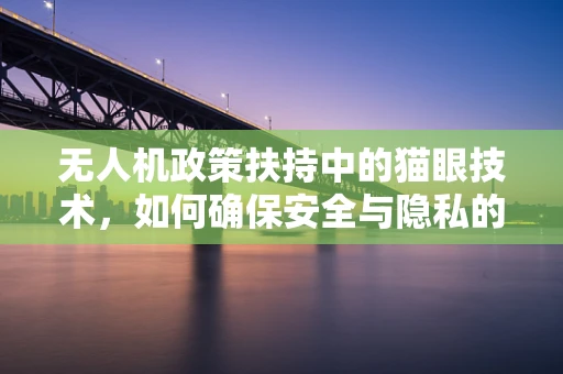 无人机政策扶持中的猫眼技术，如何确保安全与隐私的平衡？