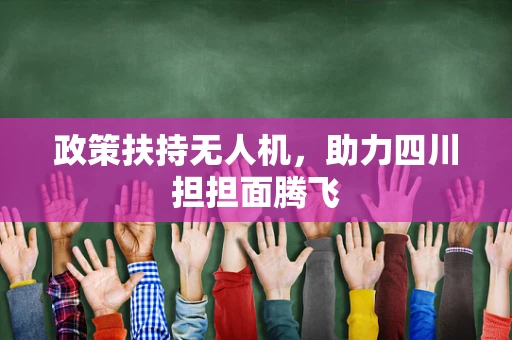 政策扶持无人机，助力四川担担面腾飞