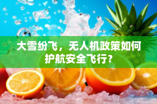 大雪纷飞，无人机政策如何护航安全飞行？