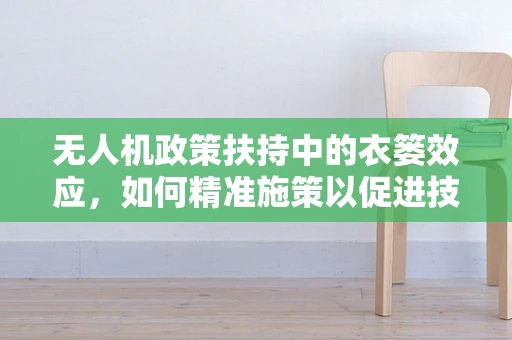 无人机政策扶持中的衣篓效应，如何精准施策以促进技术创新？