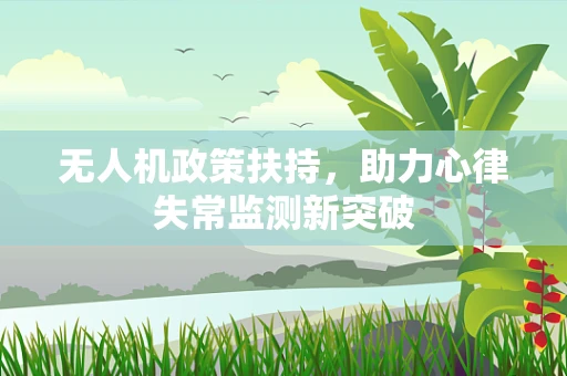 无人机政策扶持，助力心律失常监测新突破